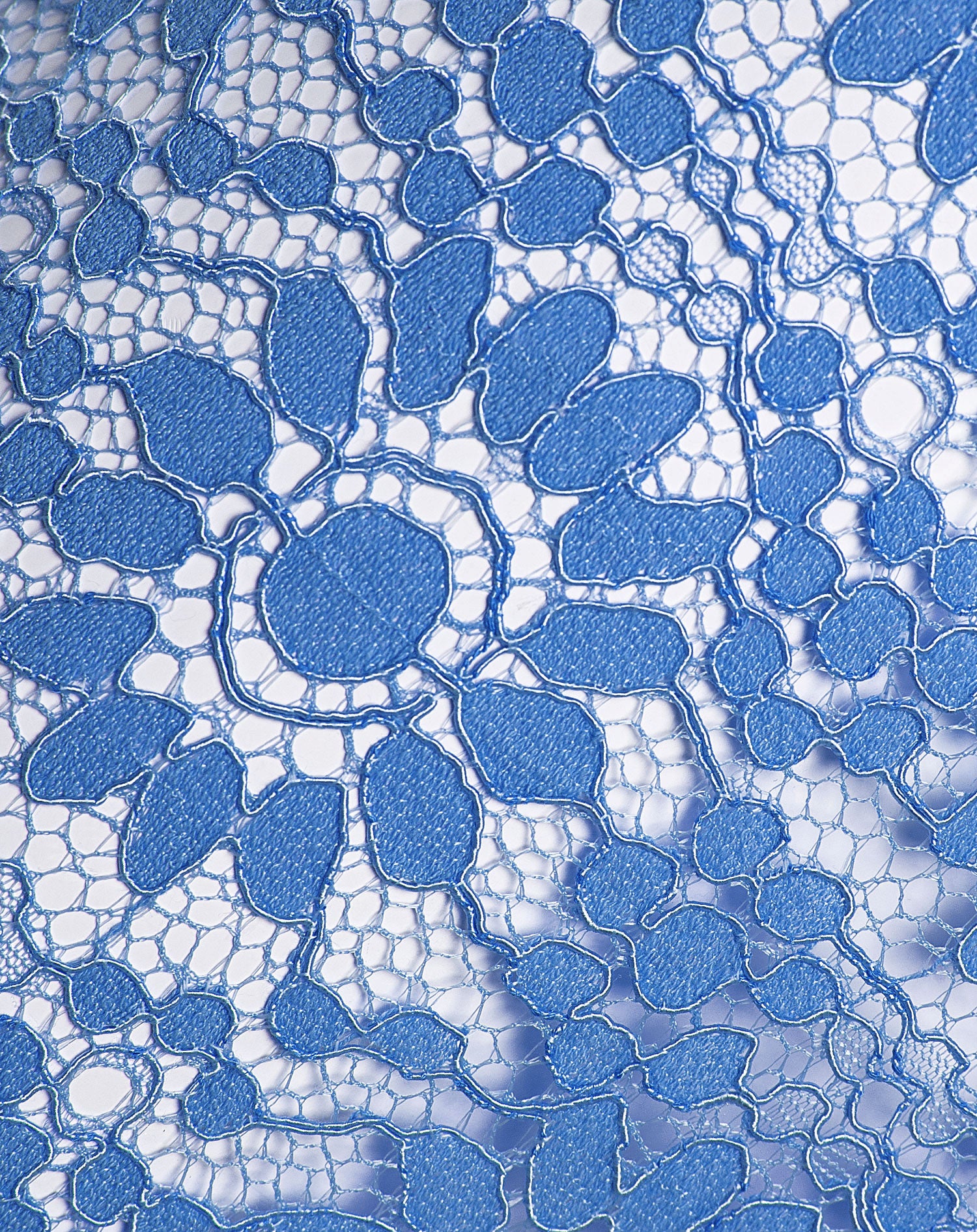 HOLLY LACE PANTS BLAUW