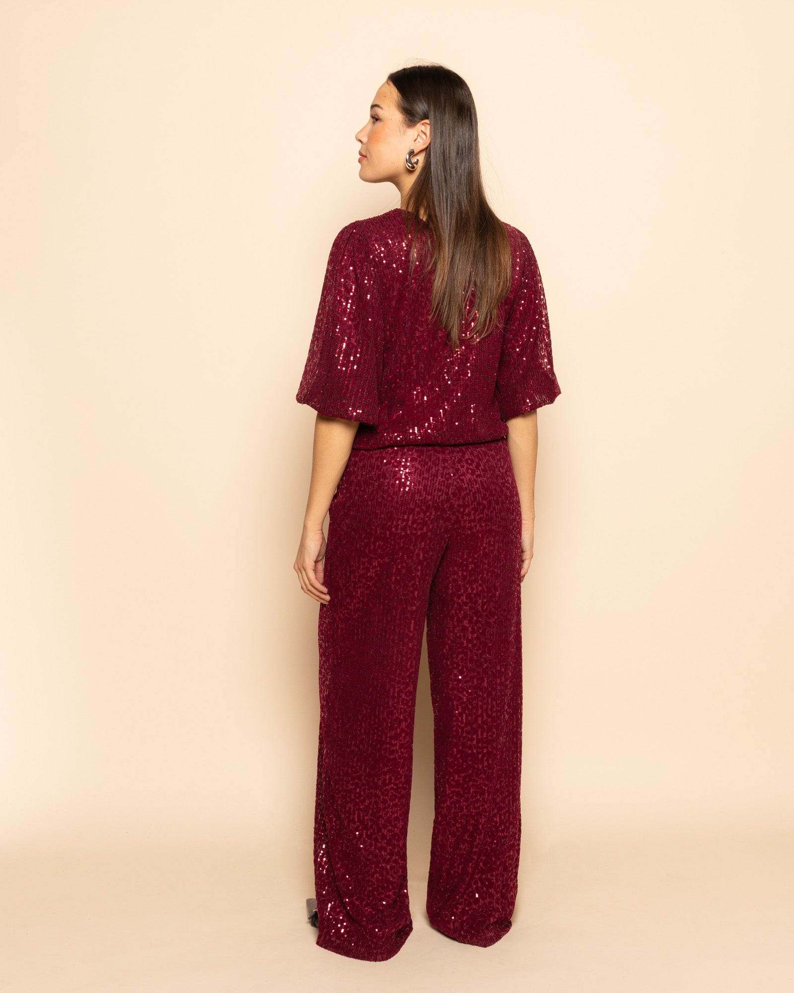 VELVET FLOCK SEQUINS PUFF SLEEVE TOP BURGUNDY
