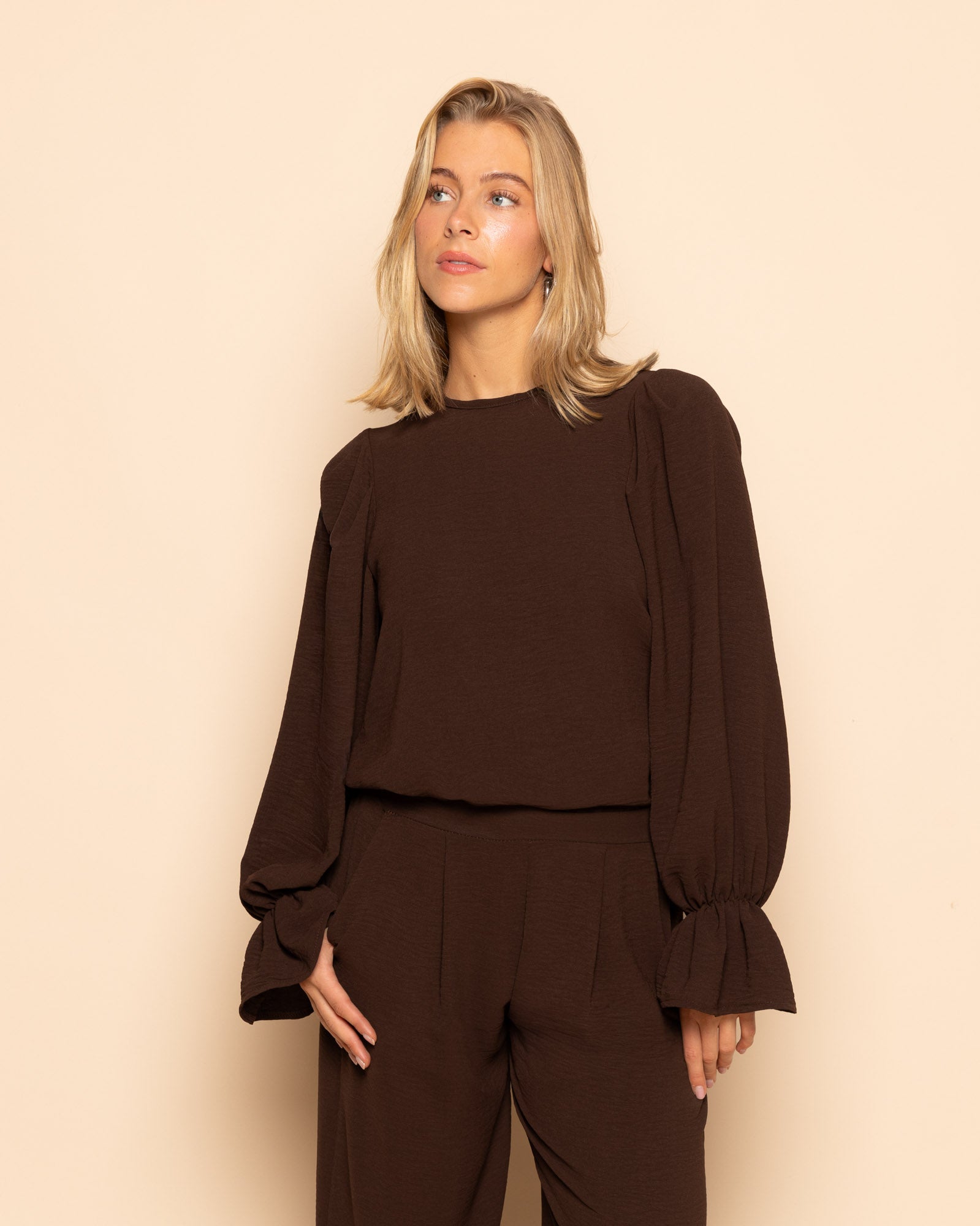 JULIE PLEATS LONG SLEEVE TOP BRUIN
