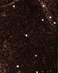 JOSH VELVET SEQUIN DRESS BROWN