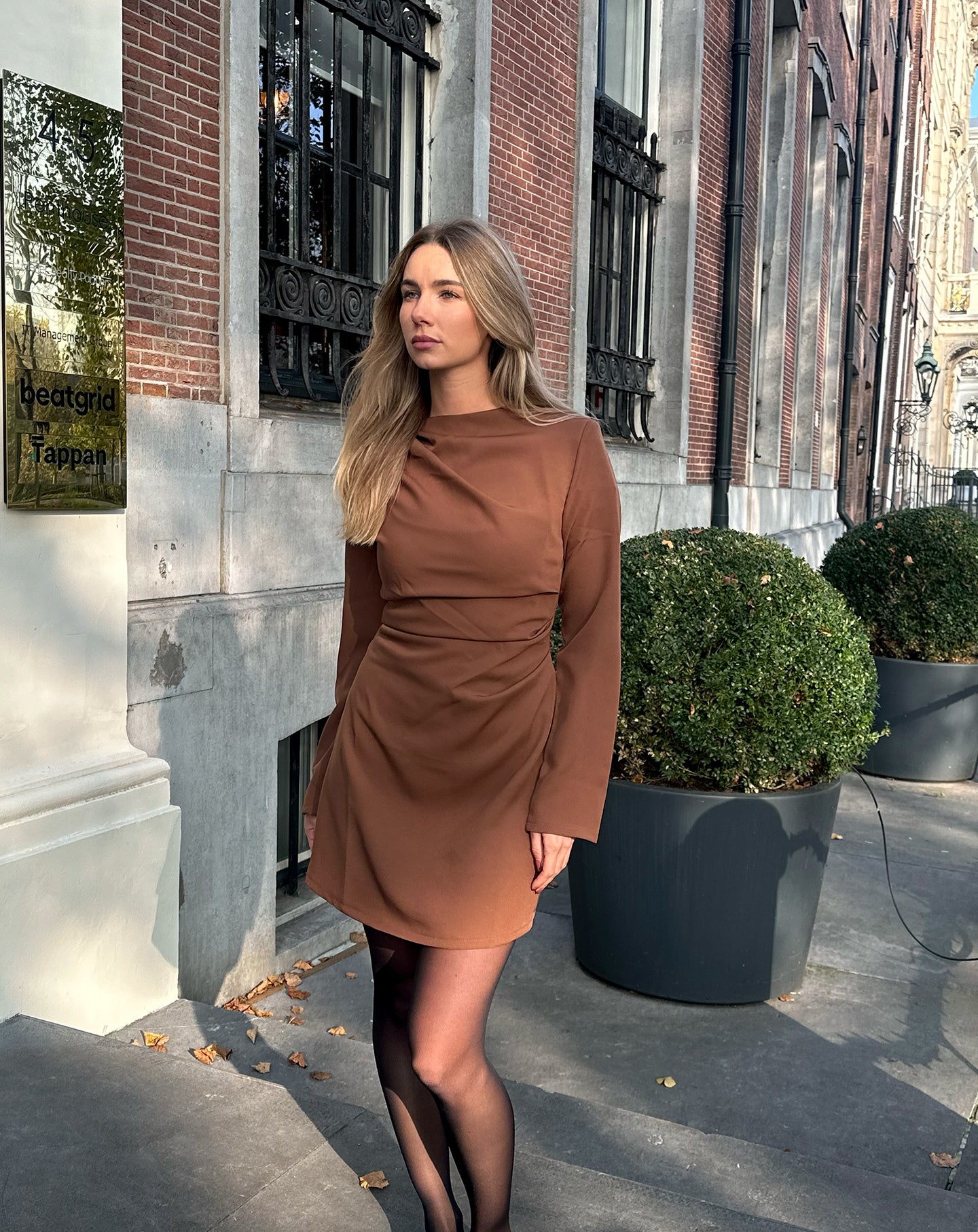 SOFIA RUCHED LONG SLEEVE DRESS BROWN