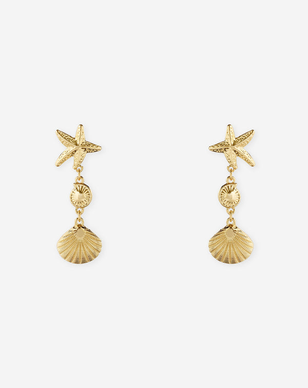 MULTI  SEASHELL EARRINGS